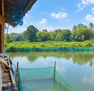DIJUAL : TANAH EMPANG LUAS DI DUREN SERIBU - BOJONGSARI, DEPOK - Thumbnail 3