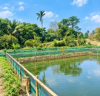 DIJUAL : TANAH EMPANG LUAS DI DUREN SERIBU - BOJONGSARI, DEPOK - Thumbnail 2